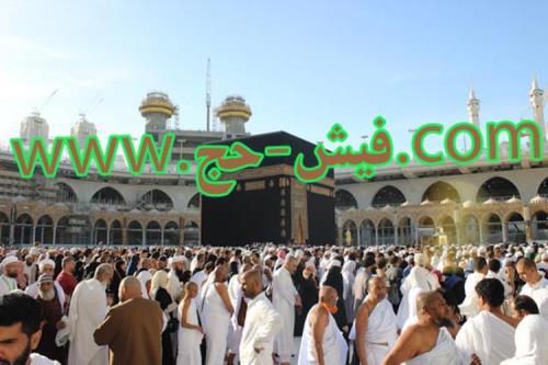 خرید و فروش مطمئن فیش حج با فیش-حج.com