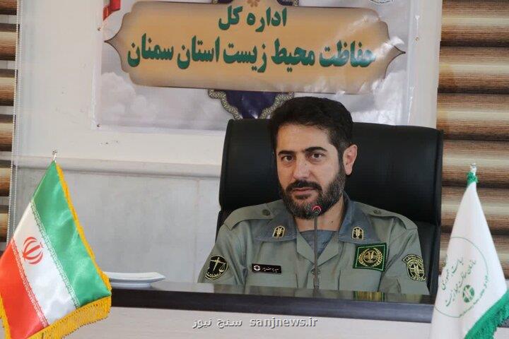 جشن احیای گور ایرانی گورخر ایرانی در گرمسار به جمعیت پایدار رسید