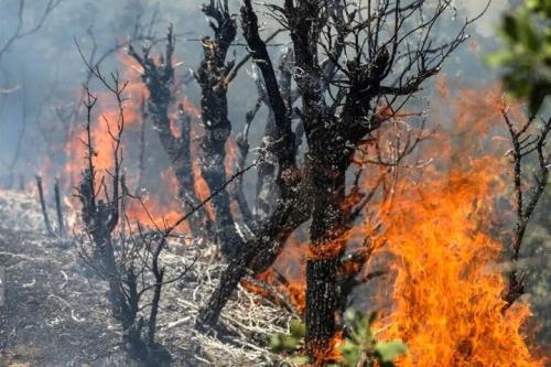 آتشسوزی کوه هفت تنان دزفول بعد از 2 روز مهار گشت