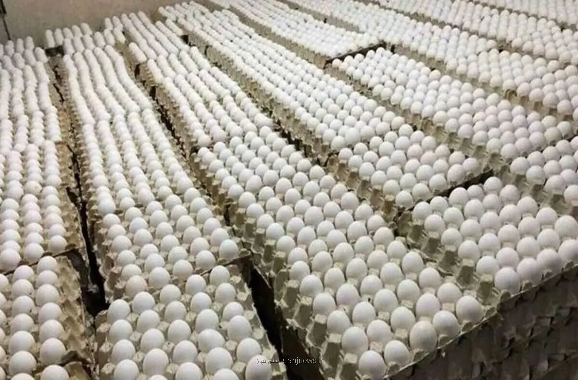 قیمت جدید تخم مرغ