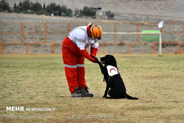 تجهیز سگ های زنده یاب هلال احمر به سیستم های هوشمند موقعیت یاب