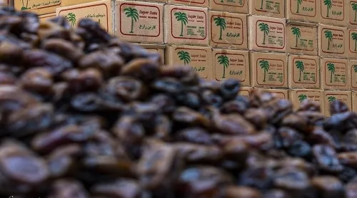 یک اتفاق مهم در بازار خرما