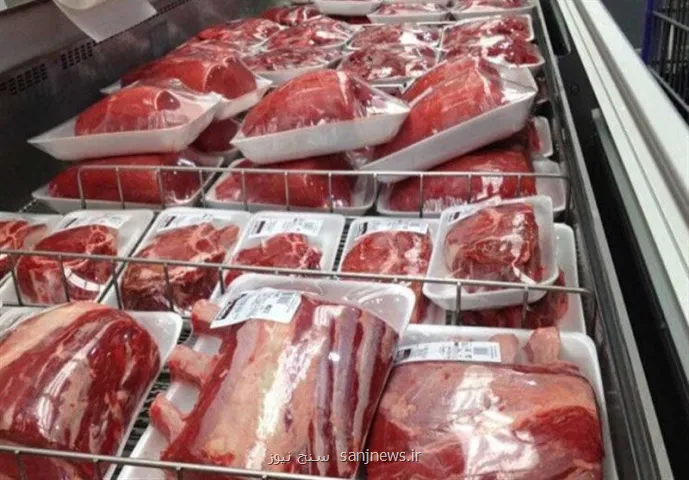 واکنش رئیس شورای تأمین دام به خبر مجوز عرضه گوشت الاغ و اسب در بازار